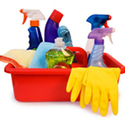 Cost of cleaner for lakewood Ranch Sarasota, Panther Ridge Florida